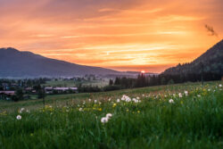 Sunset over Inzell in the Chiemgau Alps, Inzell, Bavaria, Germany.